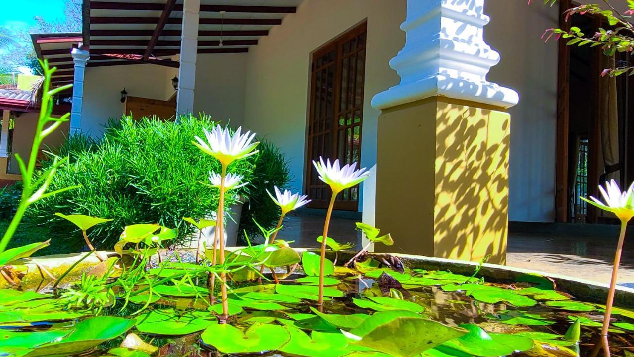 Greenville Resort And Spa Дамбула Екстериор снимка